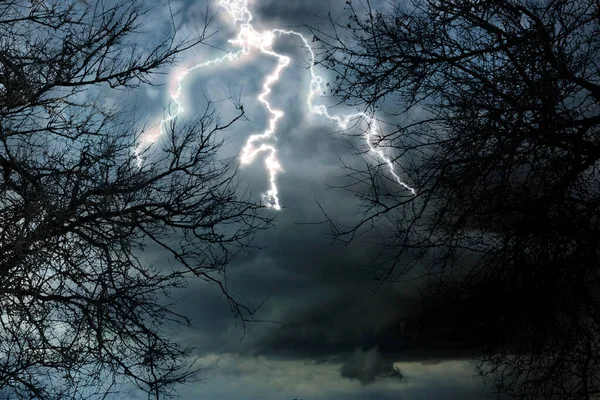 乌云密布的天空 闪电击中树木 — 图库照片
