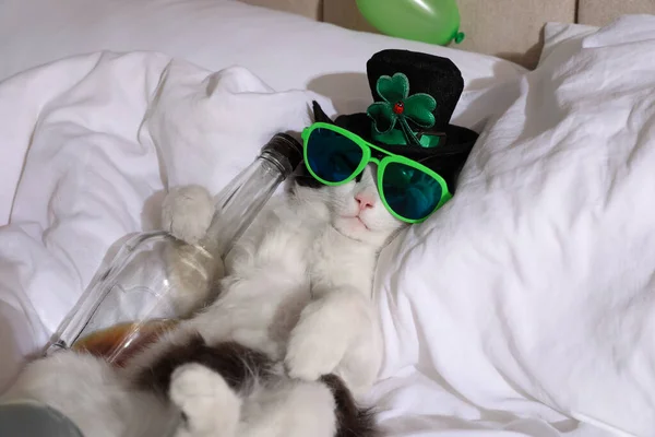 Aranyos Macska Kobold Kalapban Napszemüvegben Whiskyvel Ágyon Buli Utáni Másnaposság — Stock Fotó