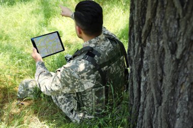 Soldier using tablet near tree in forest, back view