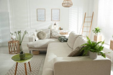 Rahat gri kanepe ve güzel resimlerle dolu şık bir oturma odası.