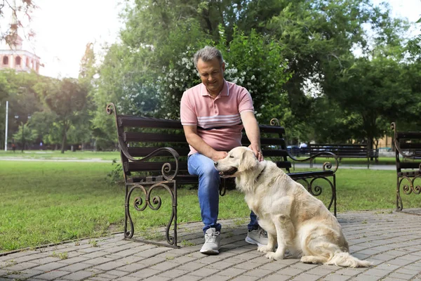 幸せなシニア男とともに彼のゴールデンレトリバー犬で公園 — ストック写真