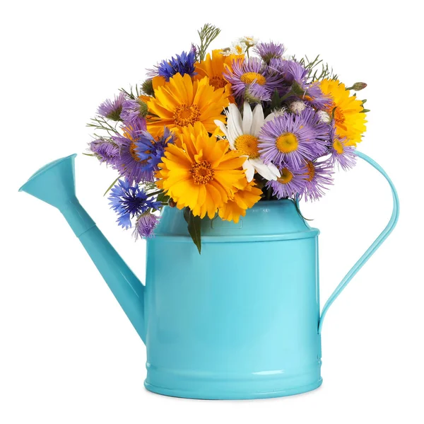 Light Blue Watering Can Beautiful Flowers Isolated White — Stock Photo, Image