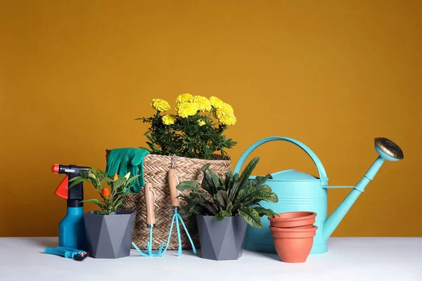 Tuingereedschap Kamerplanten Witte Tafel — Stockfoto