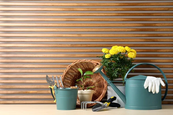 Tuingereedschap Kamerplanten Houten Tafel Ruimte Voor Tekst — Stockfoto