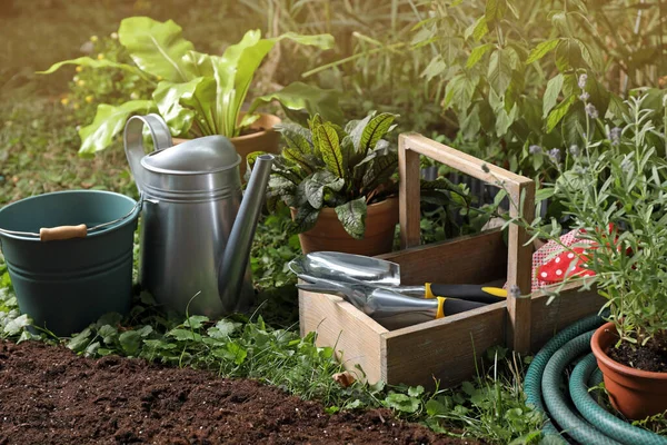 Beautiful Plants Gardening Tools Soil Backyard — Stock Photo, Image