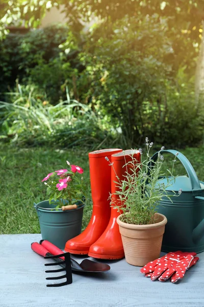 Belles Fleurs Outils Jardinage Sur Table Bois Gris Arrière Cour — Photo