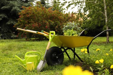 Güneşli bir günde parkta el arabası ve diğer bahçe aletleri