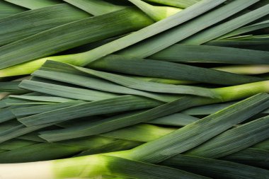 Arkaplan olarak taze çiğ pırasa, üst görünüm