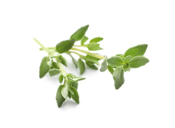 Aromatic Thyme Sprig White Background Fresh Herb — Stock Photo, Image