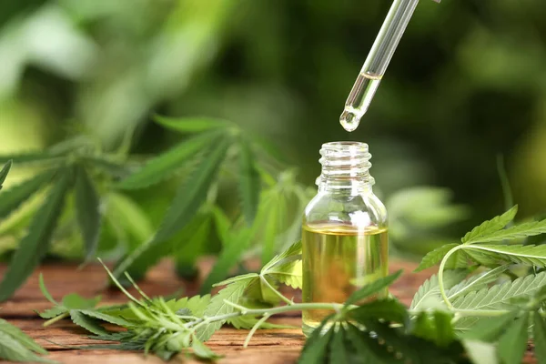 CBD olej proti bolesti