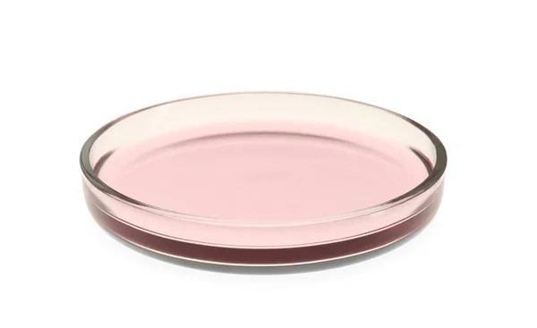 Piatto Petri Con Liquido Rosa Isolato Bianco — Foto Stock