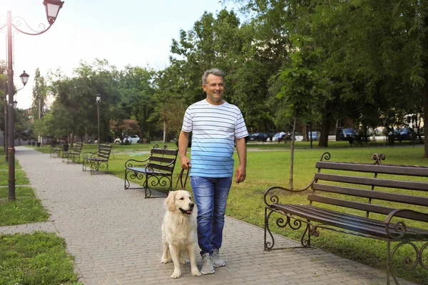 幸せなシニア男歩く彼のゴールデンレトリバー犬で公園 — ストック写真