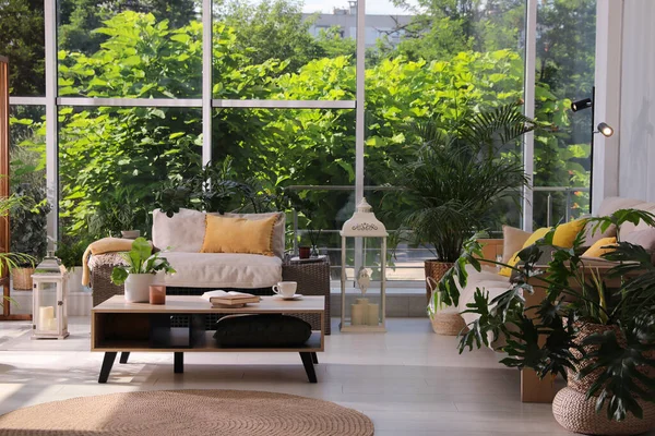 Indoor terrace interior with modern furniture and houseplants