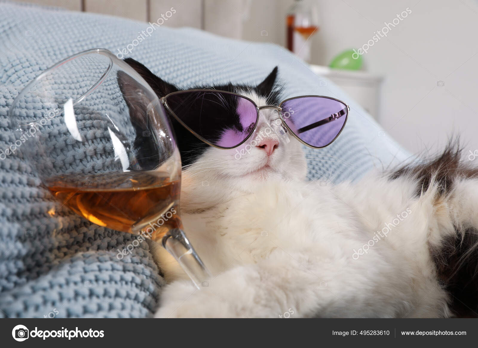 Chat Mignon Avec Des Lunettes Soleil Verre D'alcool Sur Lit