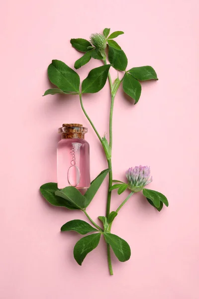Beautiful clover flowers and bottle of essential oil on pink background, flat lay