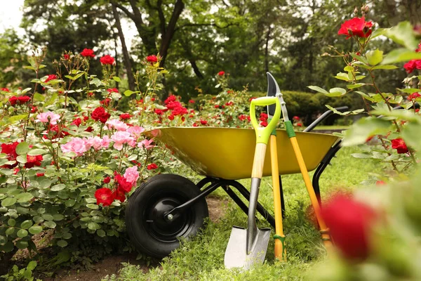 Gerobak Dorong Dan Alat Berkebun Lainnya Taman Pada Hari Yang — Stok Foto