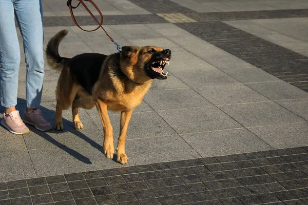 Vrouw Met Haar Agressieve Hond Wandelen Buiten Close — Stockfoto