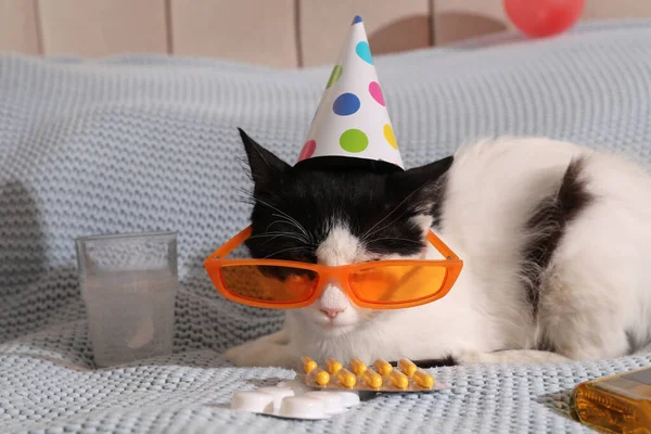 Söt Katt Bär Födelsedagshatt Och Solglasögon Nära Baksmälla Läkemedel Sängen — Stockfoto