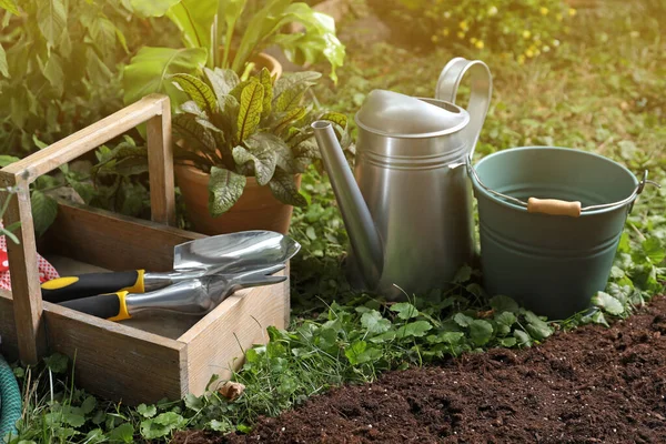 Beautiful Plant Gardening Tools Soil Backyard — Stock Photo, Image