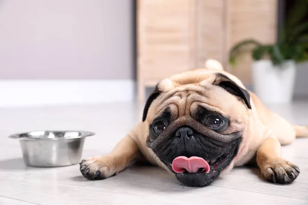 Cão Pug Bonito Que Sofre Insolação Perto Tigela Água Chão — Fotografia de Stock