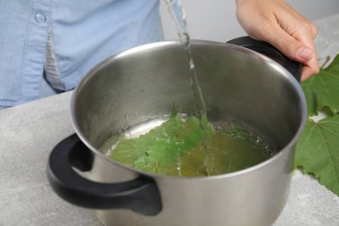 Doldurulmuş börekler için üzüm yaprakları hazırlayan kadın, yakın plan.
