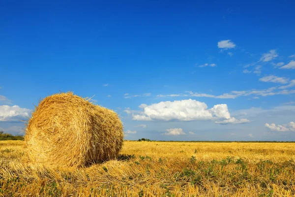 Krásný Výhled Zemědělské Pole Balíkem Sena — Stock fotografie