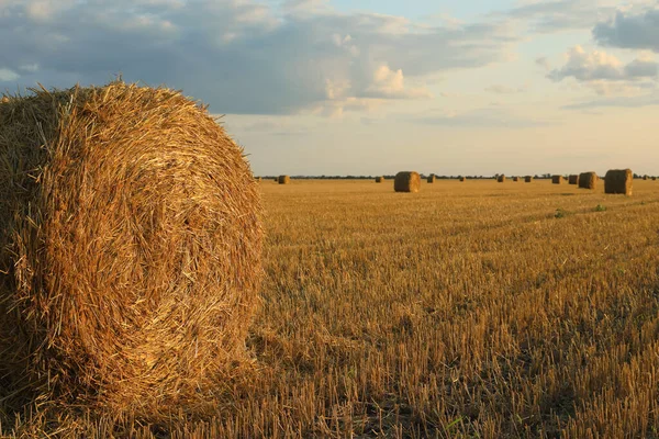 Krásný Výhled Zemědělské Pole Balíky Sena — Stock fotografie