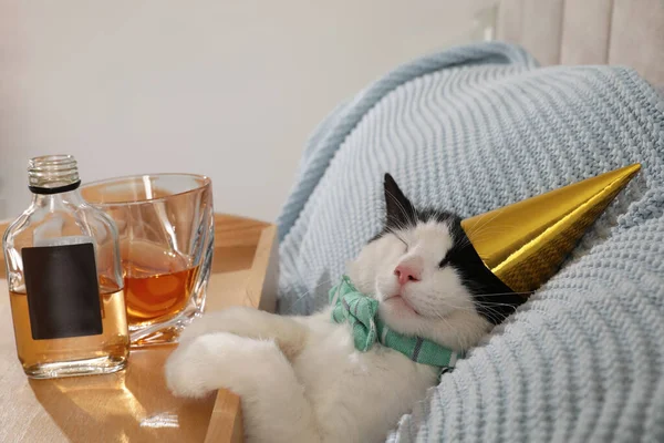 Lindo Gato Con Sombrero Cumpleaños Cerca Bandeja Con Whisky Casa — Foto de Stock