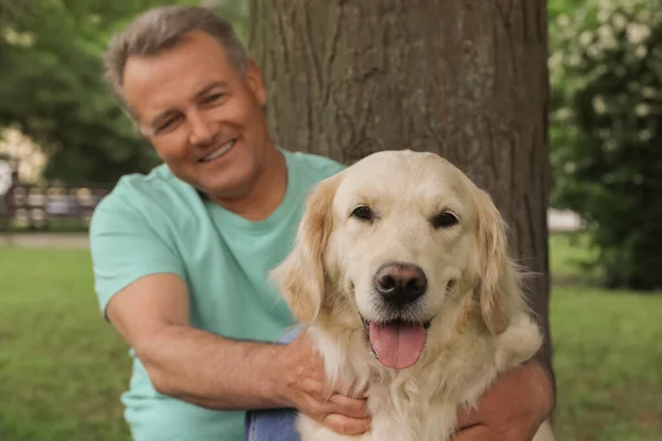 Parktaki Ağacın Altında Altın Avcı Köpeğiyle Mutlu Kıdemli Bir Adam — Stok fotoğraf