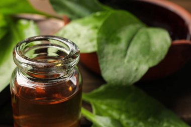 Bir şişe geniş yapraklı muz özü, yakın plan. Metin için boşluk