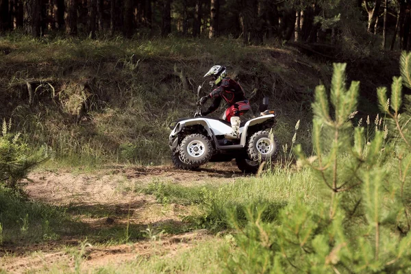 Férfi Vezetés Modern Quad Kerékpár Homokos Közelében Erdő Extrém Sport — Stock Fotó