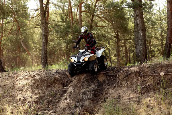 森の中で現代のクワッドバイクを運転男 極端なスポーツ — ストック写真