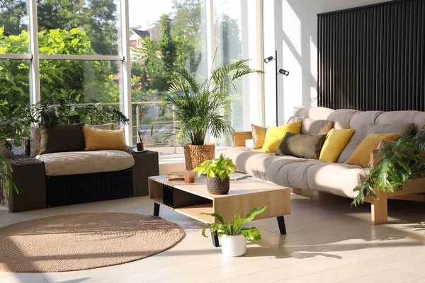 Interno Terrazza Coperta Con Mobili Moderni Piante Appartamento — Foto Stock