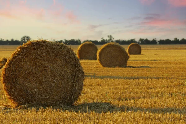 Krásný Výhled Zemědělské Pole Balíky Sena — Stock fotografie