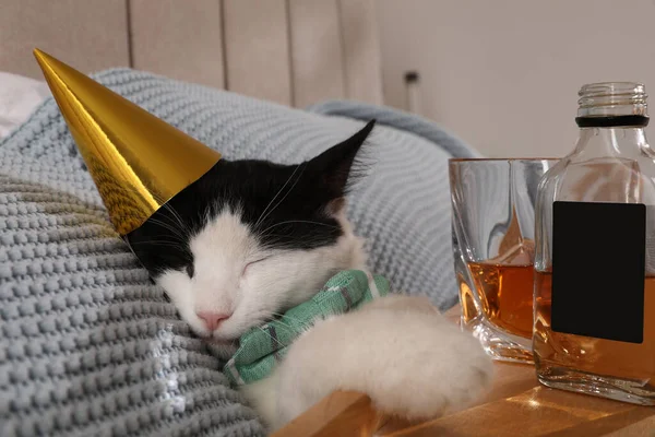 Χαριτωμένη Γάτα Που Φοράει Καπέλο Γενεθλίων Κοντά Στο Δίσκο Ουίσκι — Φωτογραφία Αρχείου