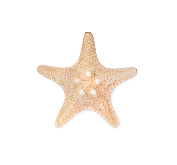 Морская Звезда Белом Вид Сверху Пляжный Объект — стоковое фото