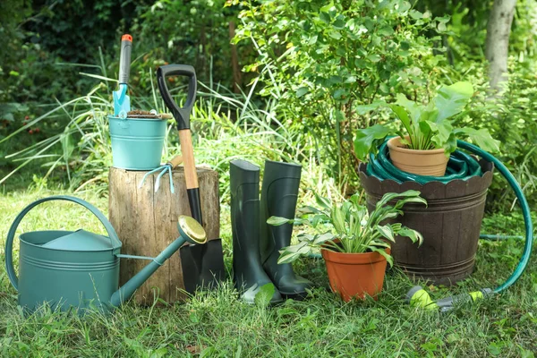 Belle Piante Attrezzi Giardinaggio Erba Verde Cortile — Foto Stock