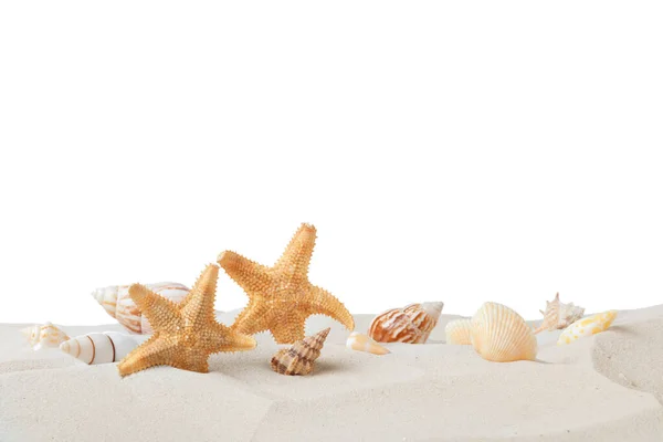 Lindas Estrelas Mar Conchas Areia Sobre Fundo Branco — Fotografia de Stock