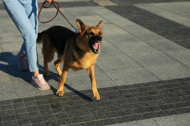 Saldırgan köpeğiyle dışarı çıkan bir kadın, yakın plan.