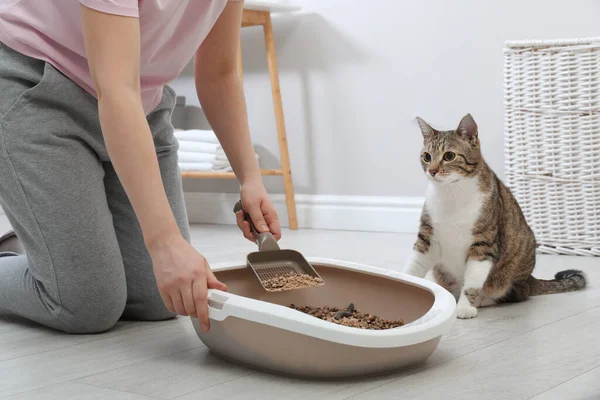 Frau Putzt Katzentoilette Hause Nahaufnahme — Stockfoto