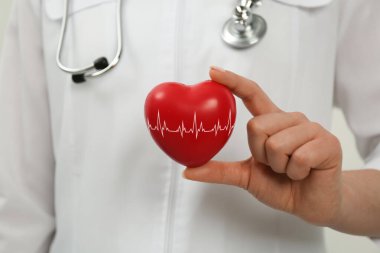 Doktor kırmızı kalbi tutuyor, yakın plan. Kardiyoloji kavramı