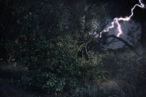 Cielo Nublado Oscuro Con Rayo Árbol Tormenta — Foto de Stock