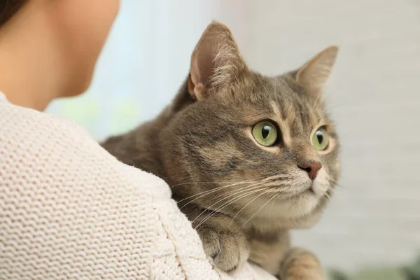 Mulher Segurando Seu Gato Casa Close Bonito Animal Estimação — Fotografia de Stock
