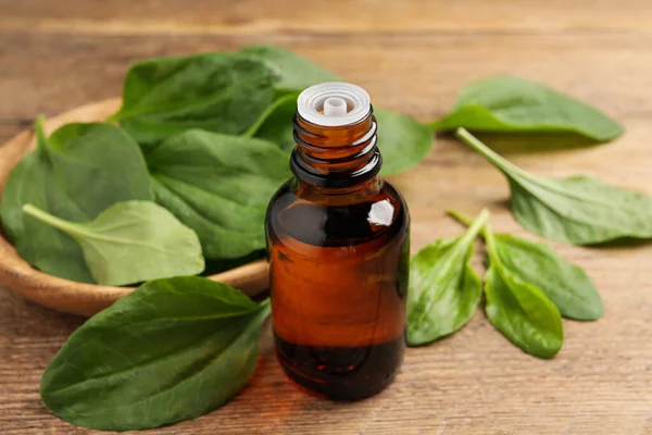 Flasche Breitwegerich Extrakt Und Blätter Auf Holztisch — Stockfoto