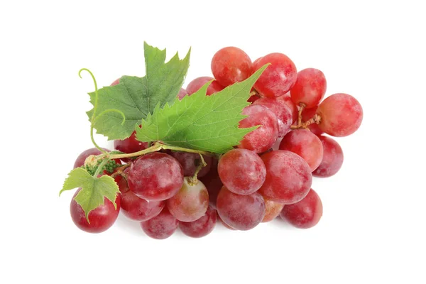 Cluster Ripe Red Grapes Green Leaves White Background Top View — Stock Photo, Image