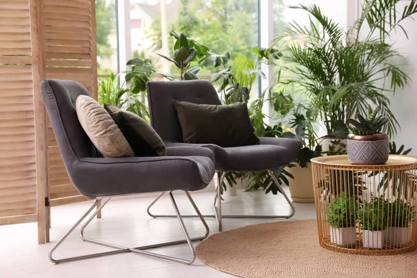 Lounge Interior Com Poltronas Confortáveis Plantas Sala — Fotografia de Stock