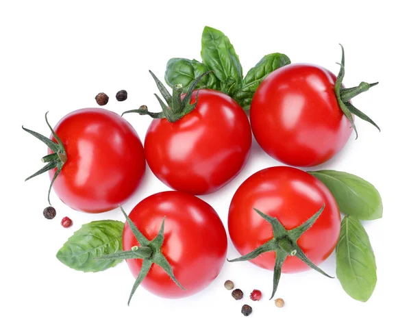 Verse Groene Basilicum Bladeren Specerijen Tomaten Witte Achtergrond Bovenaanzicht — Stockfoto