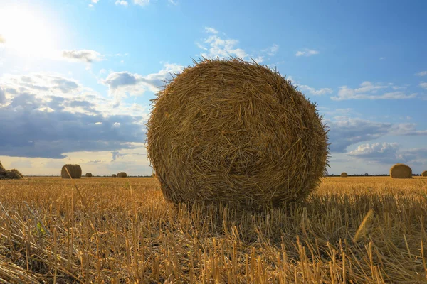 Krásný Výhled Zemědělské Pole Balíkem Sena — Stock fotografie