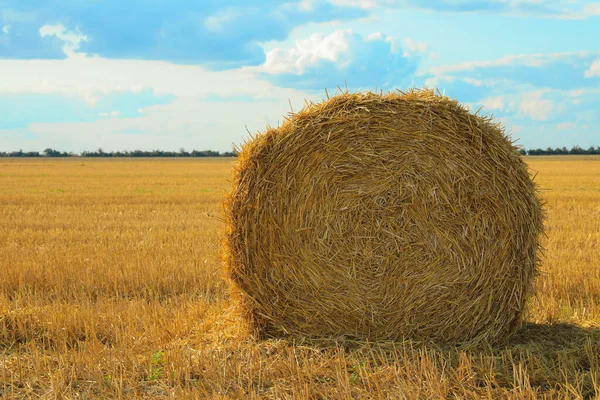 Beautiful View Agricultural Field Hay Bale — Stock Photo, Image