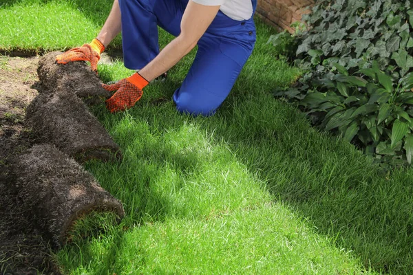 Giardiniere Che Posa Erba Zolle Sul Cortile Primo Piano — Foto Stock